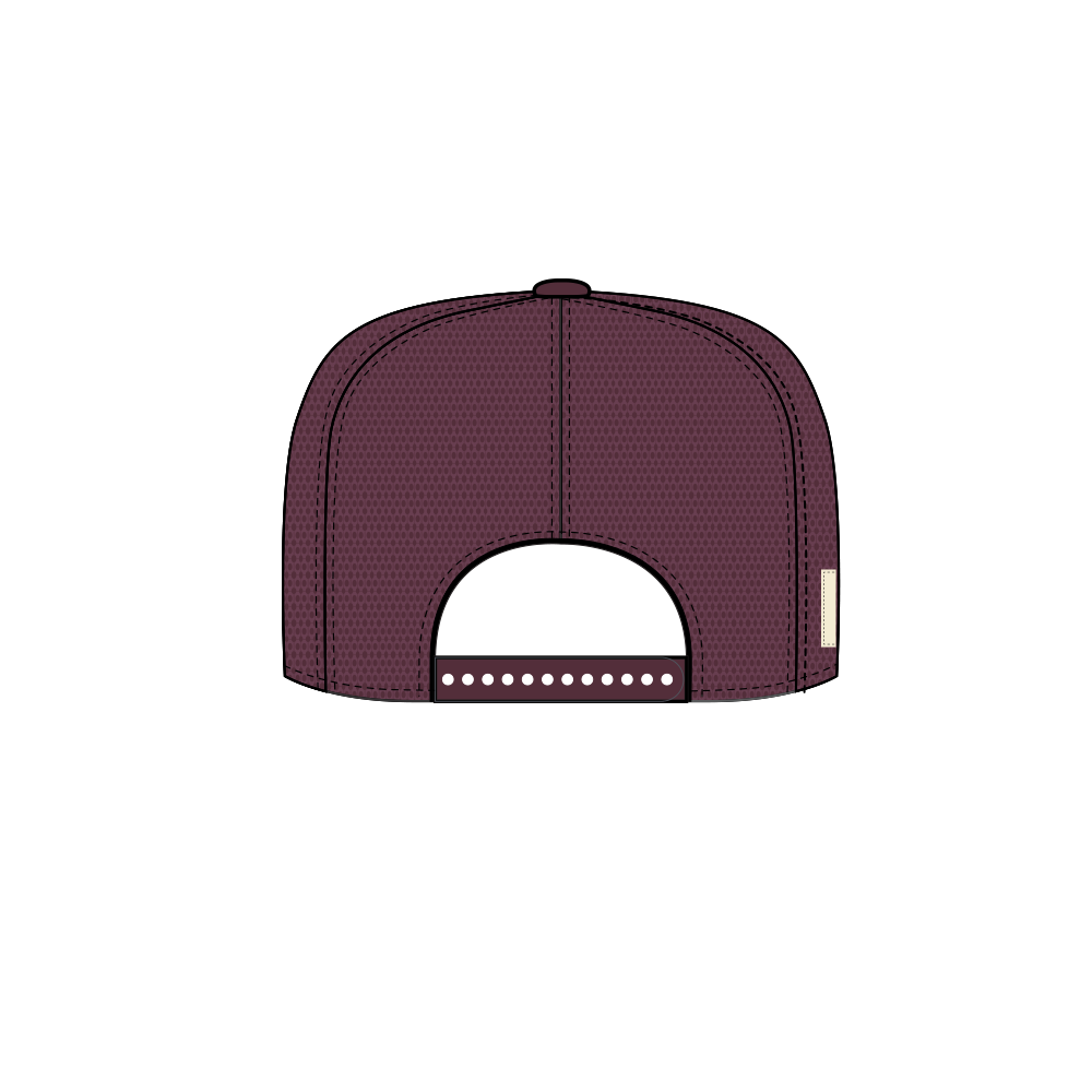 Icons Trucker Hat Maroon